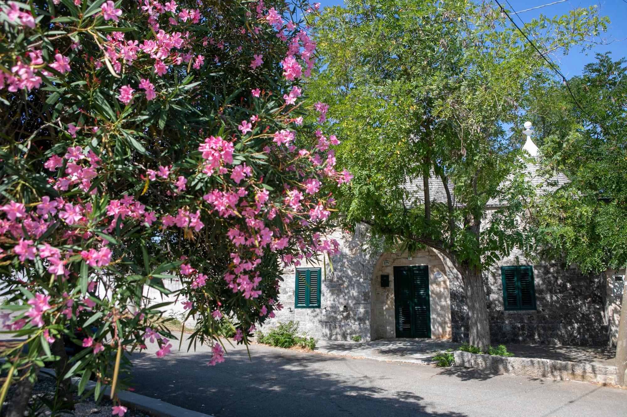 Angolo Di Puglia *