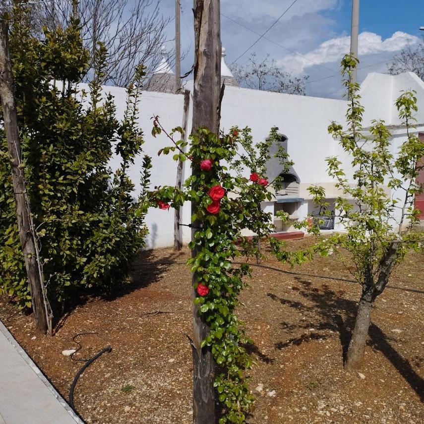 Holiday home Angolo Di Puglia Locorotondo